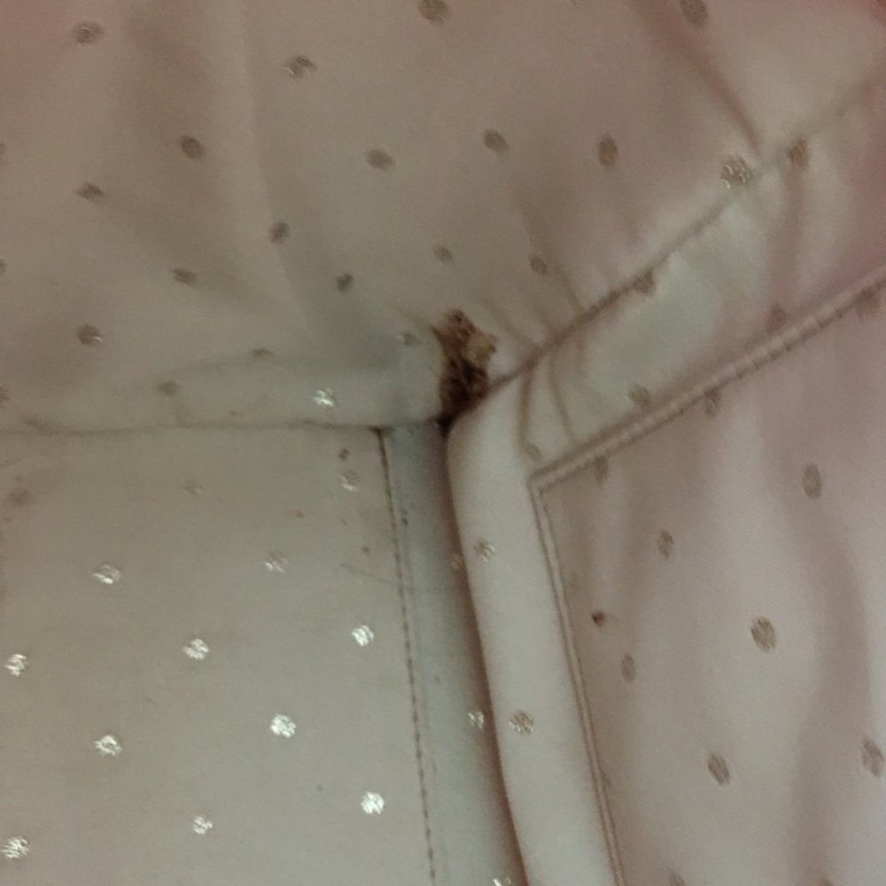Kate Spade 2 Park Avenue Small Beau Bag Leather Satchel purse pink PLZ READ - Picture 11 of 16